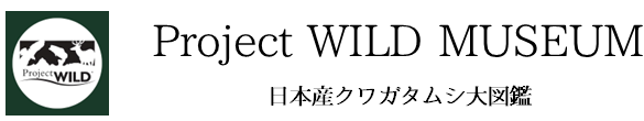 Project WILD MUSEUM クワガタ大図鑑